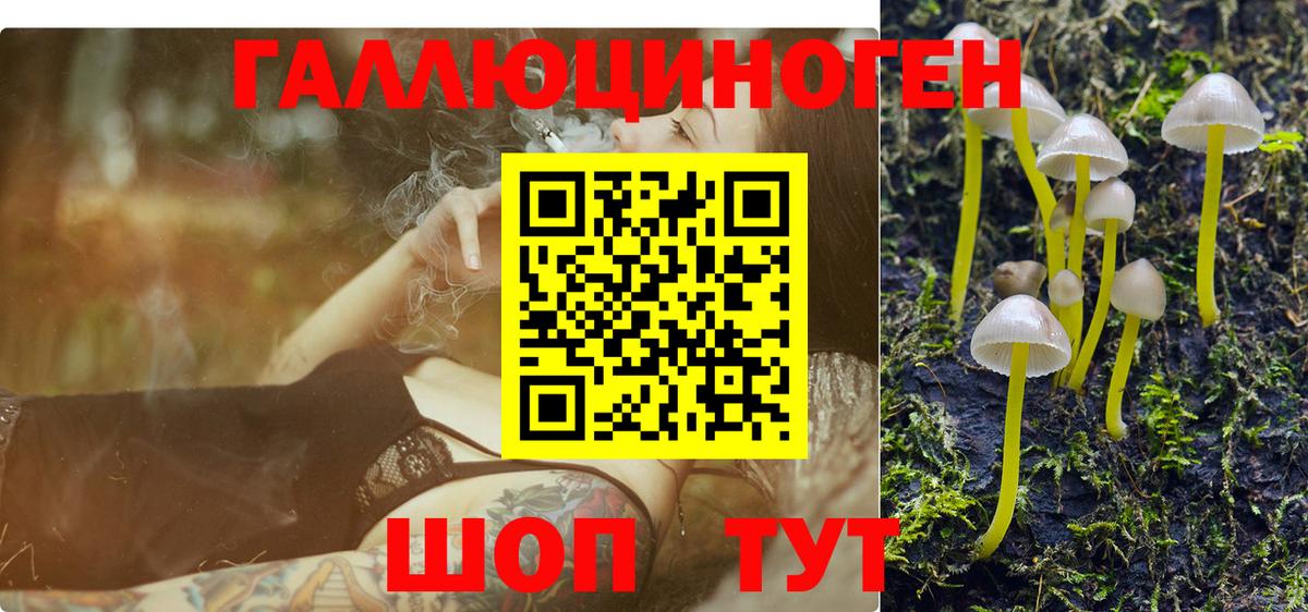 Псилоцибиновые грибы Magic Shrooms Норильск