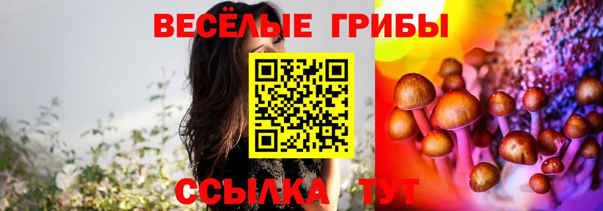 Псилоцибиновые грибы MAGIC MUSHROOMS  Вход с VPN  Норильск 